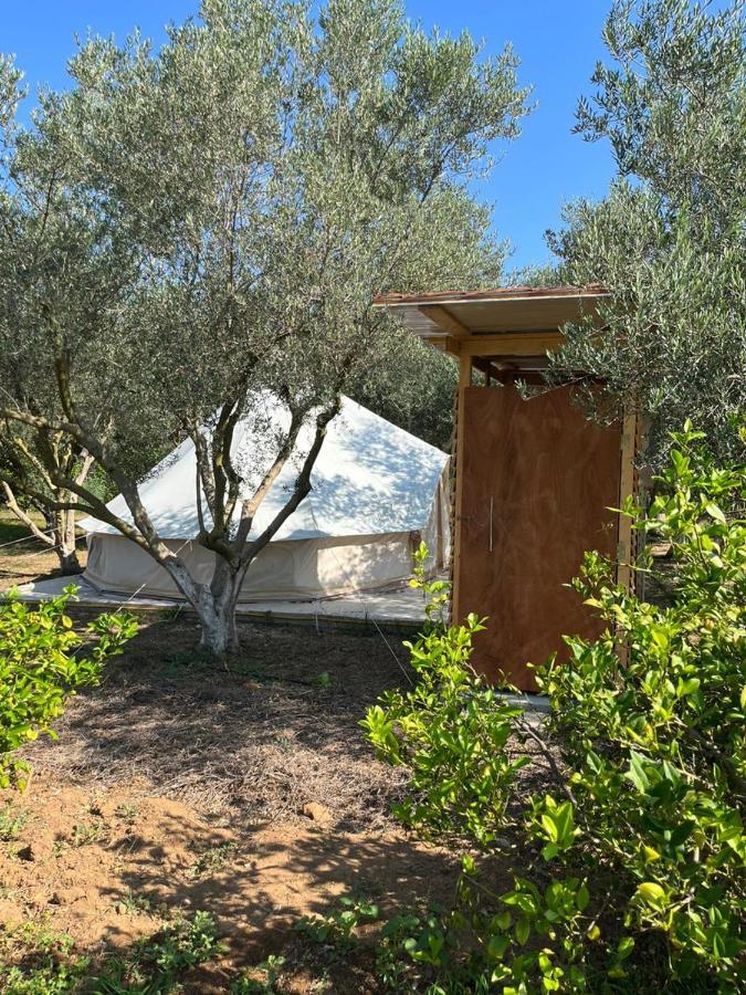 Eco Glamping With Pool Between Nafplio And Argos Dış mekan fotoğraf