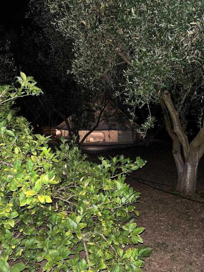 Eco Glamping With Pool Between Nafplio And Argos Dış mekan fotoğraf