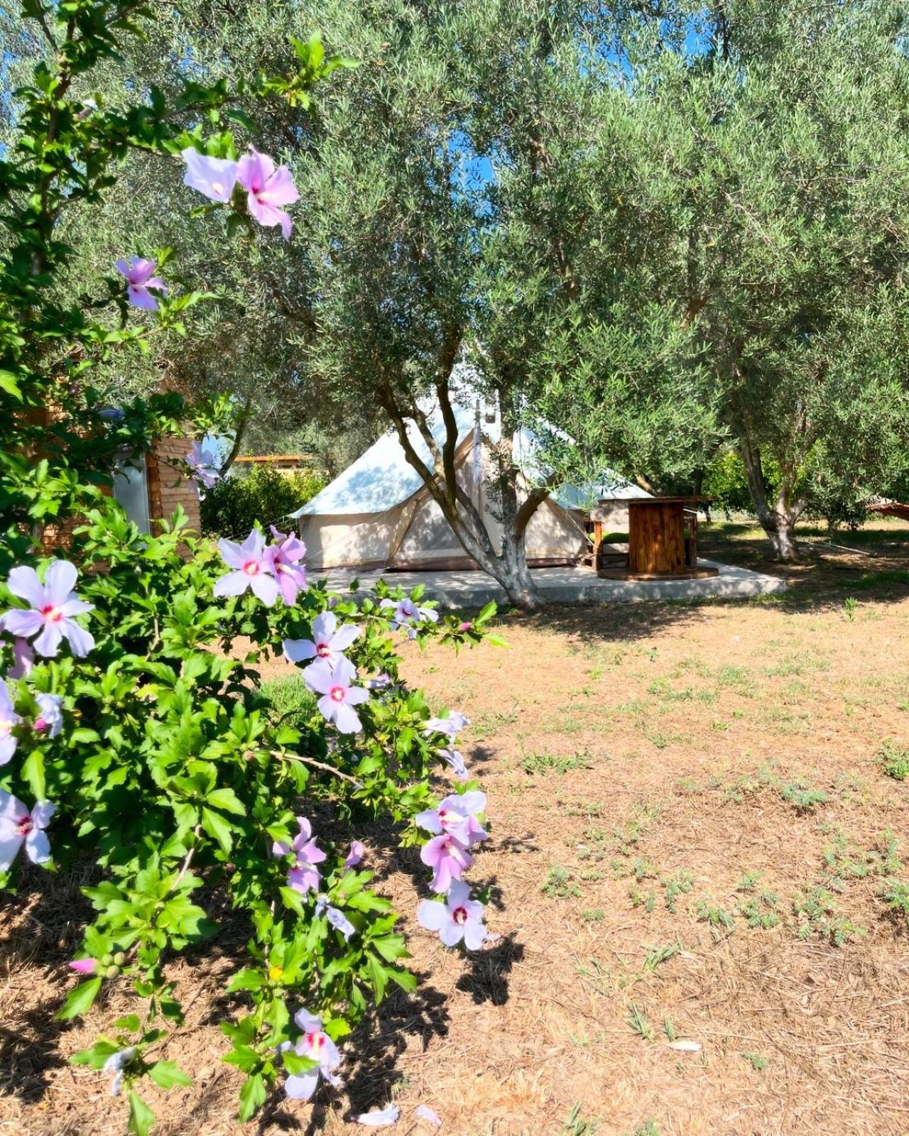 Eco Glamping With Pool Between Nafplio And Argos Dış mekan fotoğraf