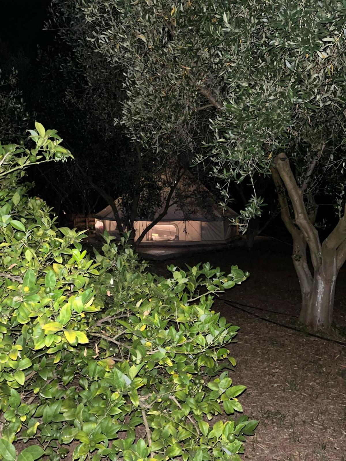 Eco Glamping With Pool Between Nafplio And Argos Dış mekan fotoğraf